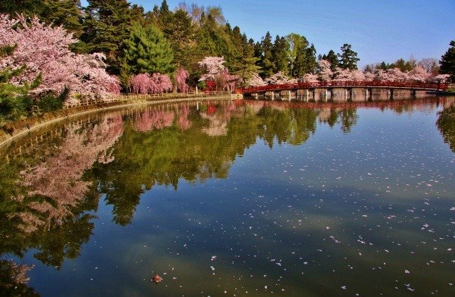 🌸 사루카 공원(사루카 코엔) 이미지 1